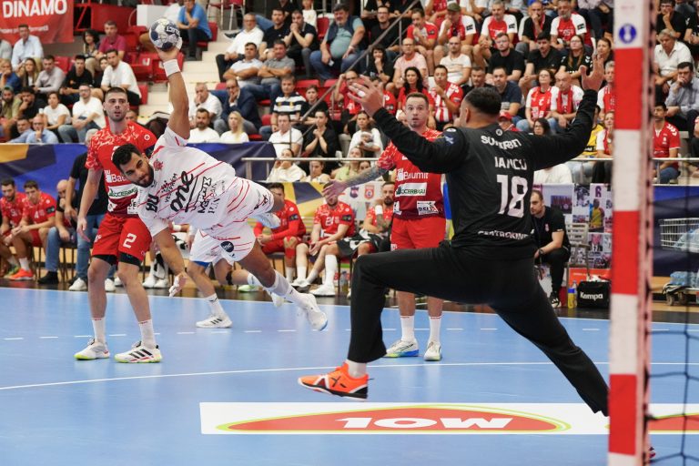dinamo_veszprem